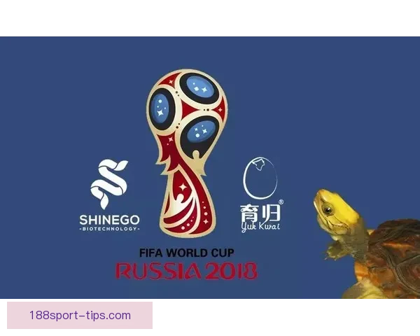 世界杯竞猜规则全面解析与趣味策略指南大揭秘