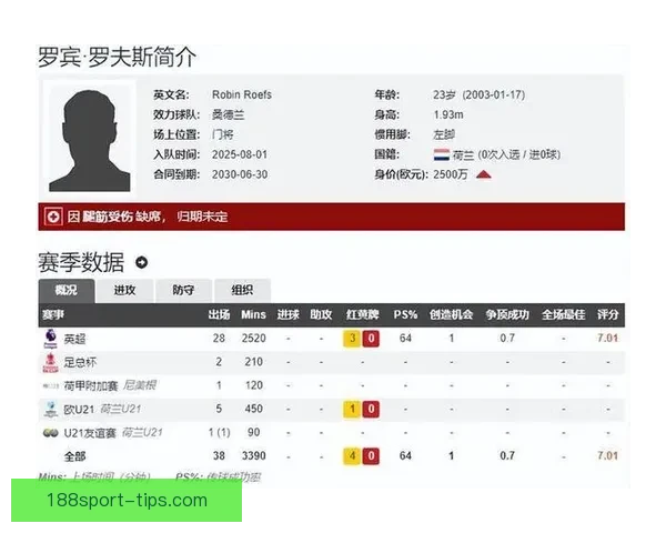 聚焦二零二六世界杯各国国家队名单预测与潜力黑马阵容前瞻分析